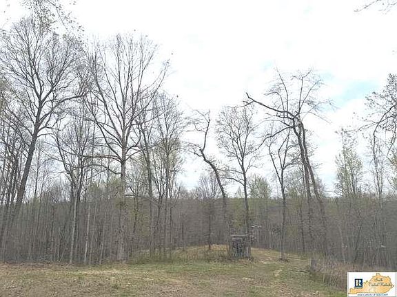 3rd image of 2328 Fisher Ridge Rd