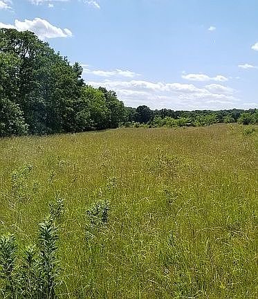 Great building sites 