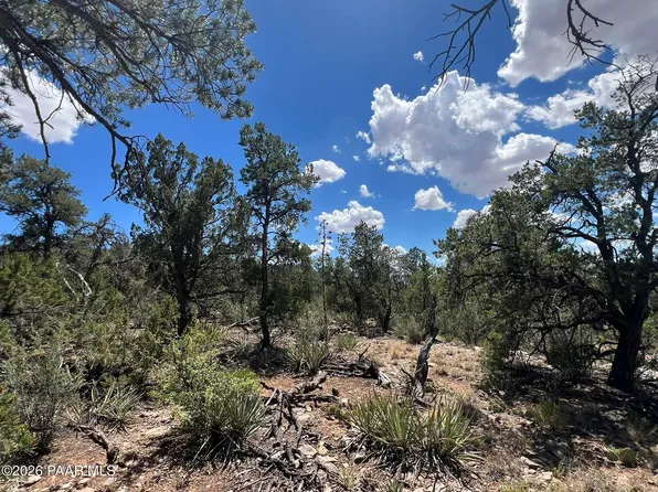109 Off Of Twin Fawn Ln, Ash Fork, AZ 86320