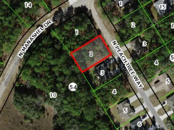 9390 N Peachtree Way, Citrus Springs, FL 34434