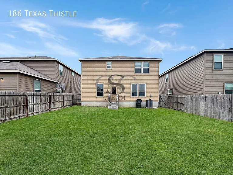 186 Texas Thistle — Photo 28
