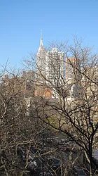 Rented by Alpha Properties NYC I LLC