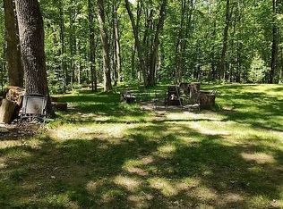 8597 N 48th Ave, Bitely, MI 49309