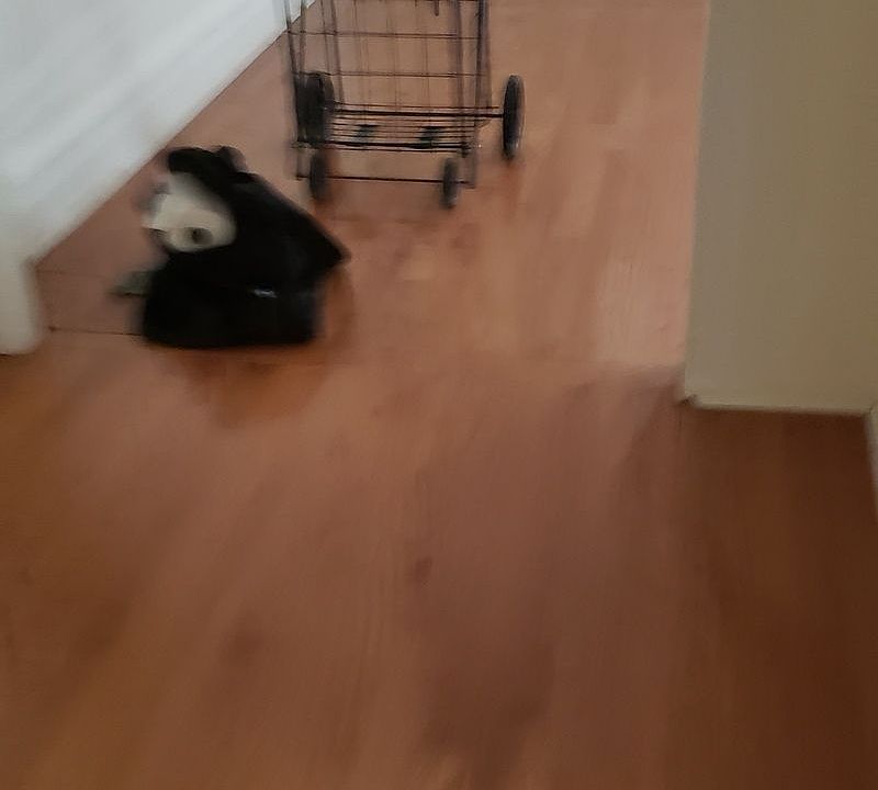 1st image of 1764 Bedford Ave APT 22