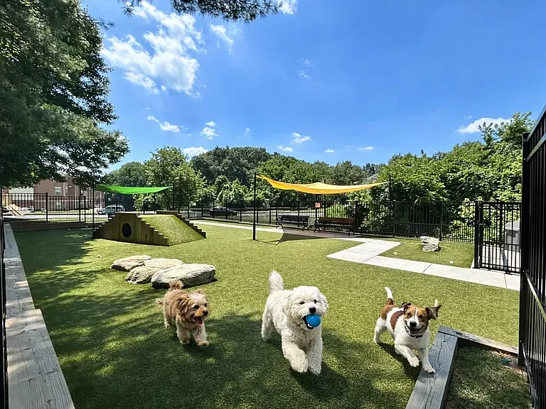 5 Lockhart Cir #J — Photo 15
