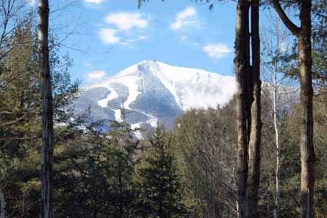 1st image of 103 Stewart Mountain Way