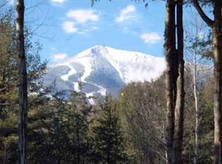 103 Stewart Mountain Way, Wilmington, NY 12997