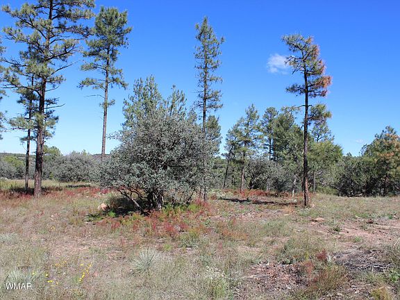 5th image of 004T Elk Trl
