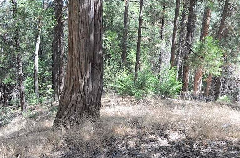 2nd image of Cedar Pines Dr
