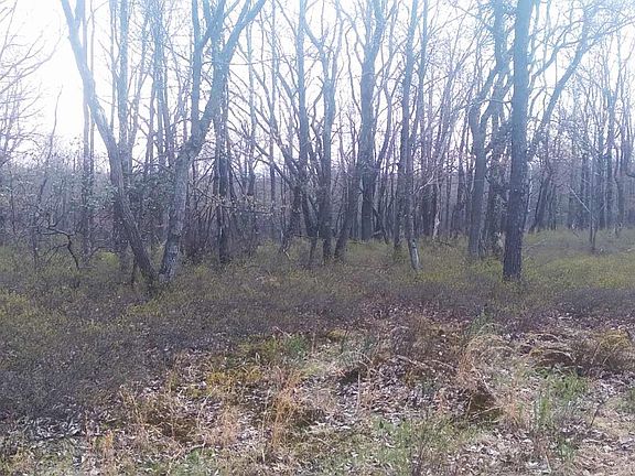 2nd image of Erii 398 Crooked Stick Ln