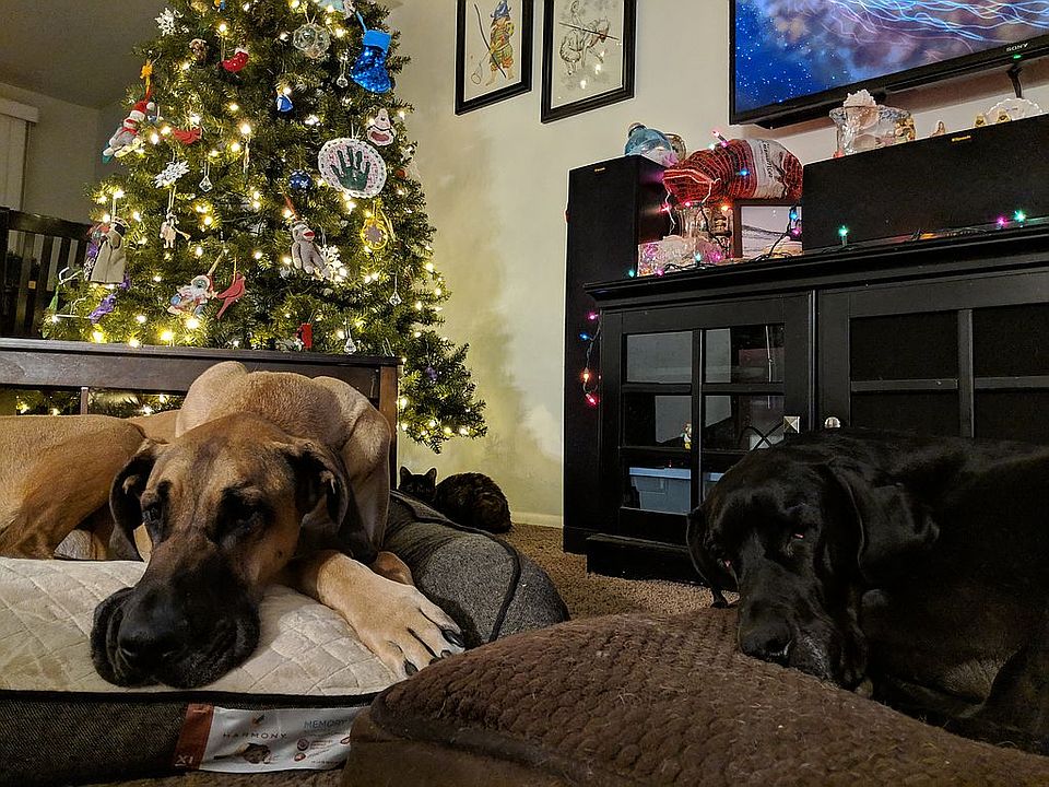 x-mas!