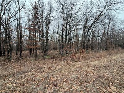 6.48 Acres Hawkweed Trail, Tunas, MO, 65764