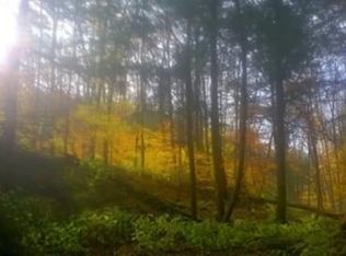 428 Johnycake Rd, Mohawk, NY 13407