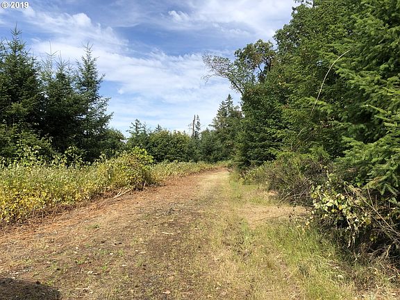 3rd image of 16205 Old Highway 99 N