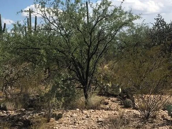 12220 E Prince Rd, Pima County, AZ 85749