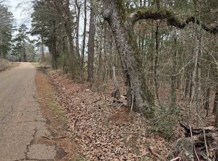 0 County Road 3206, Laneville, TX 75667