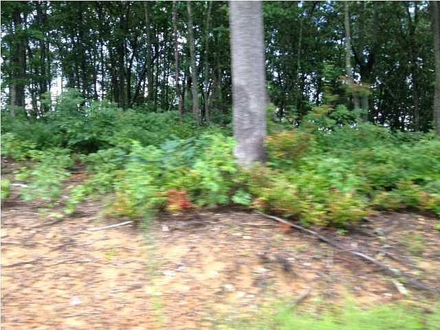 1st image of 12 Evening Shade Ln Lot 12