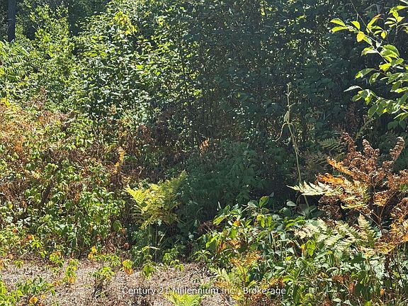 4th image of 931 River Rd E