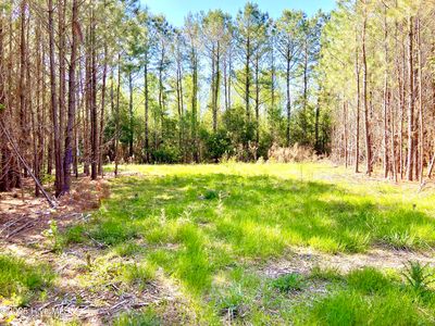 551 Berrys Creek Road, Beaufort, NC, 28516