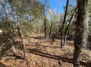 Kitty Ave #11, Interlachen, FL 32148