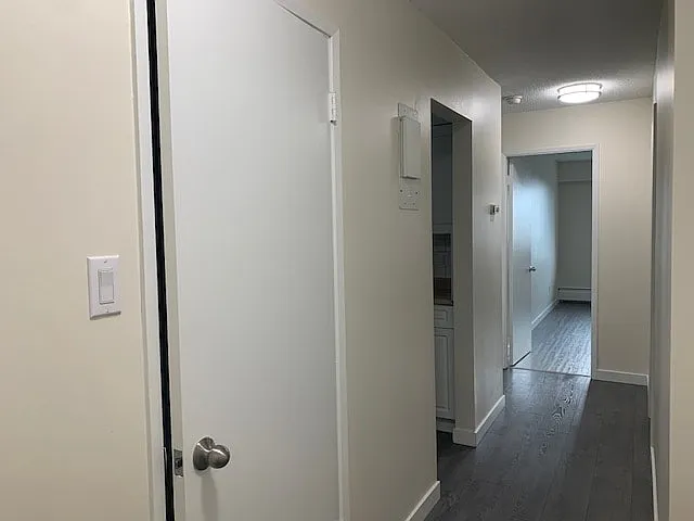 409 Ash St — Photo 5