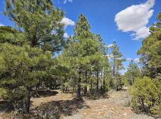4176 Lone Eagle Ct, Happy Jack, AZ 86024