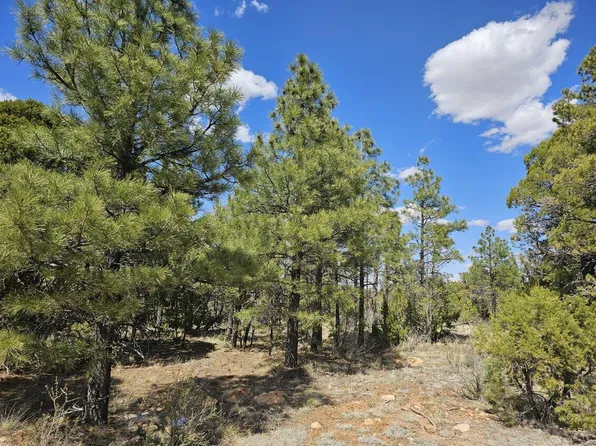 4176 Lone Eagle Ct, Happy Jack, AZ 86024