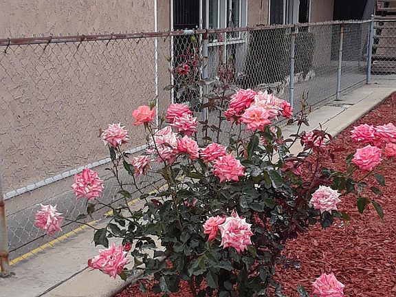2nd image of 10235 Crenshaw Blvd