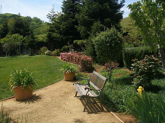 Beautiful Park like backyard