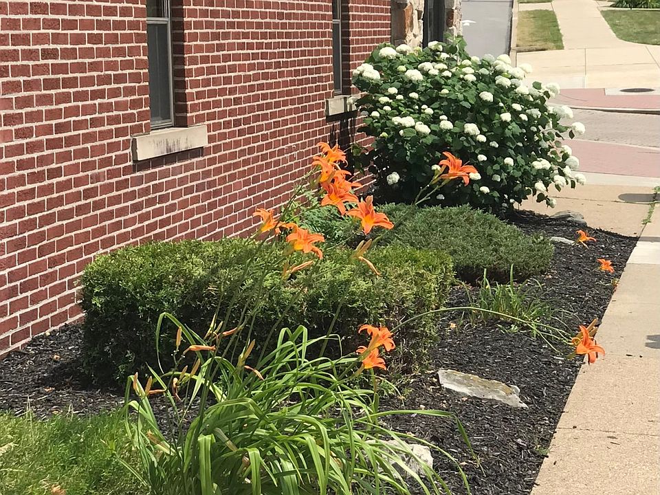 Side Garden