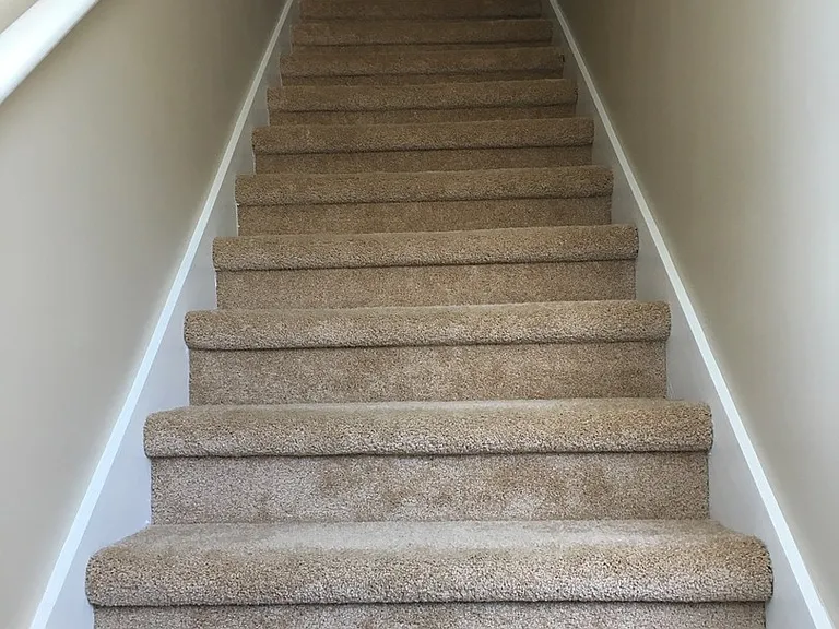 407 Judy Pl — Photo 8
