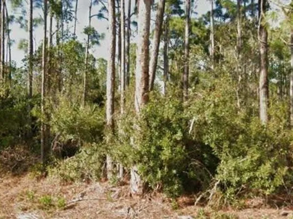 26442 Scham Rd, Punta Gorda, FL 33955