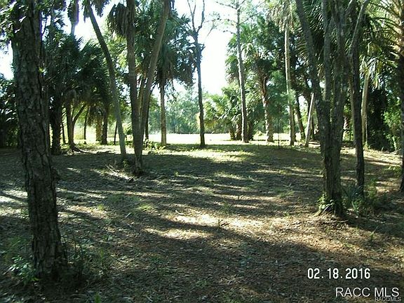 4th image of 11885 W Waterwood Dr