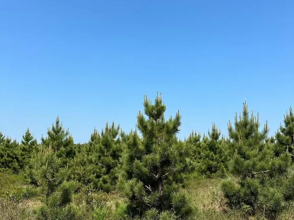 Lund Rd Lot 17, Tomahawk, WI 54487