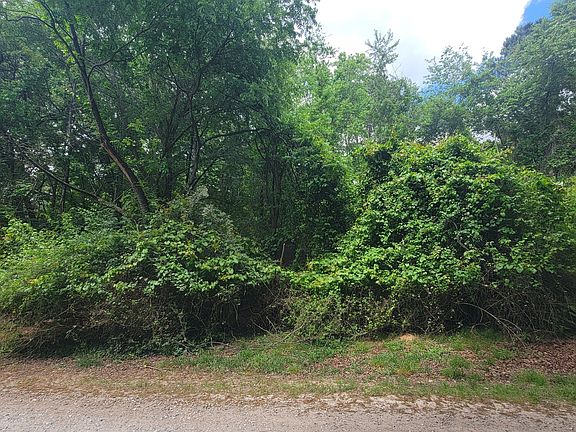 2nd image of 0 Lester Rd