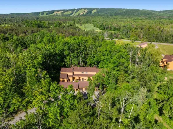 4749 S Pleasantview Rd, Harbor Springs, MI 49740