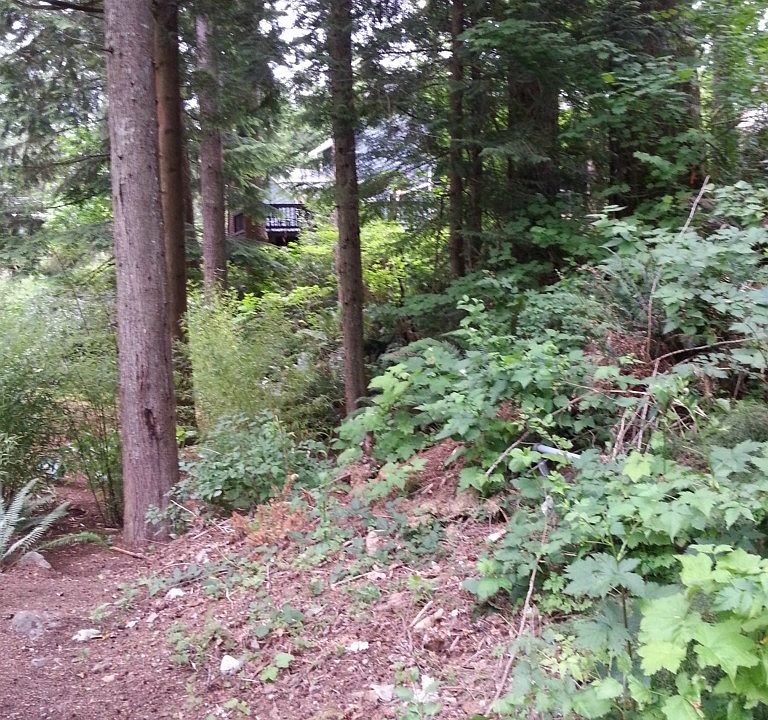 2nd image of 16700 421st Ave SE