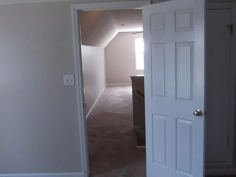 2937 Piney Mountain Dr — Photo 30