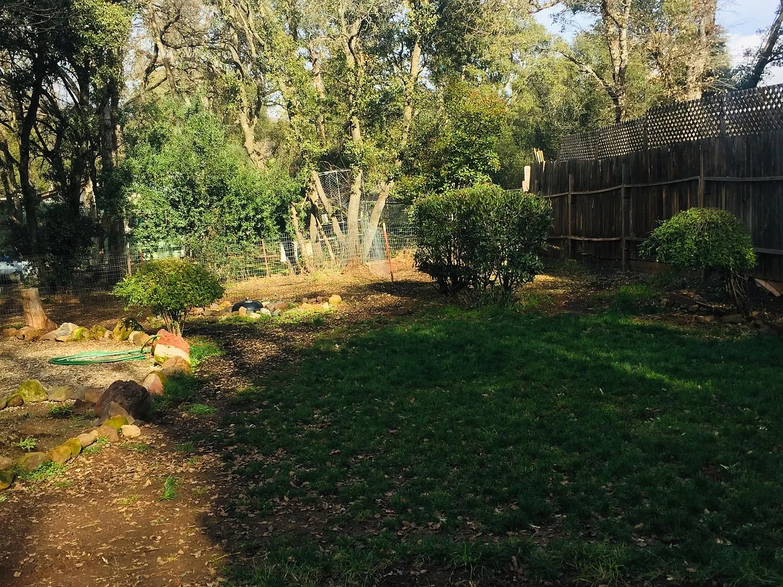 Arnold Ave, Clearlake — Photo 4