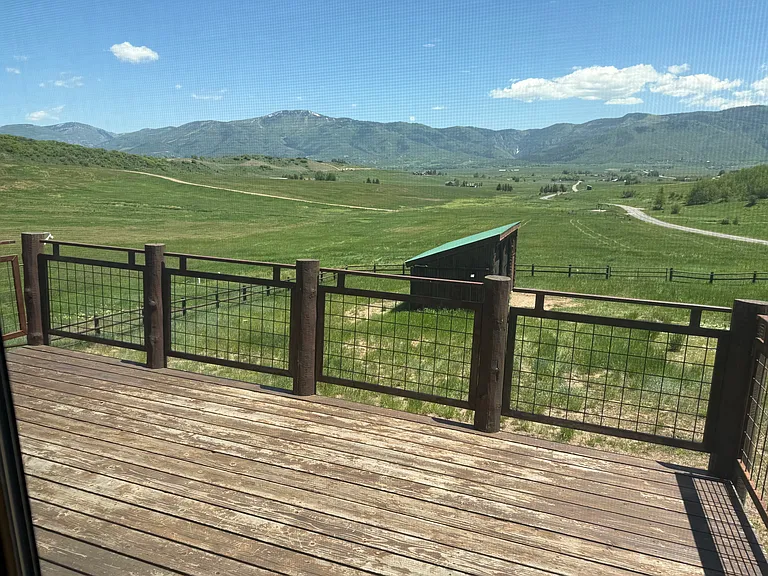 View from deck in summer