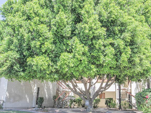 2nd image of 3119 W Cochise Dr Unit 138