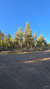 Chubb Ct, Buena Vista, CO, 81211