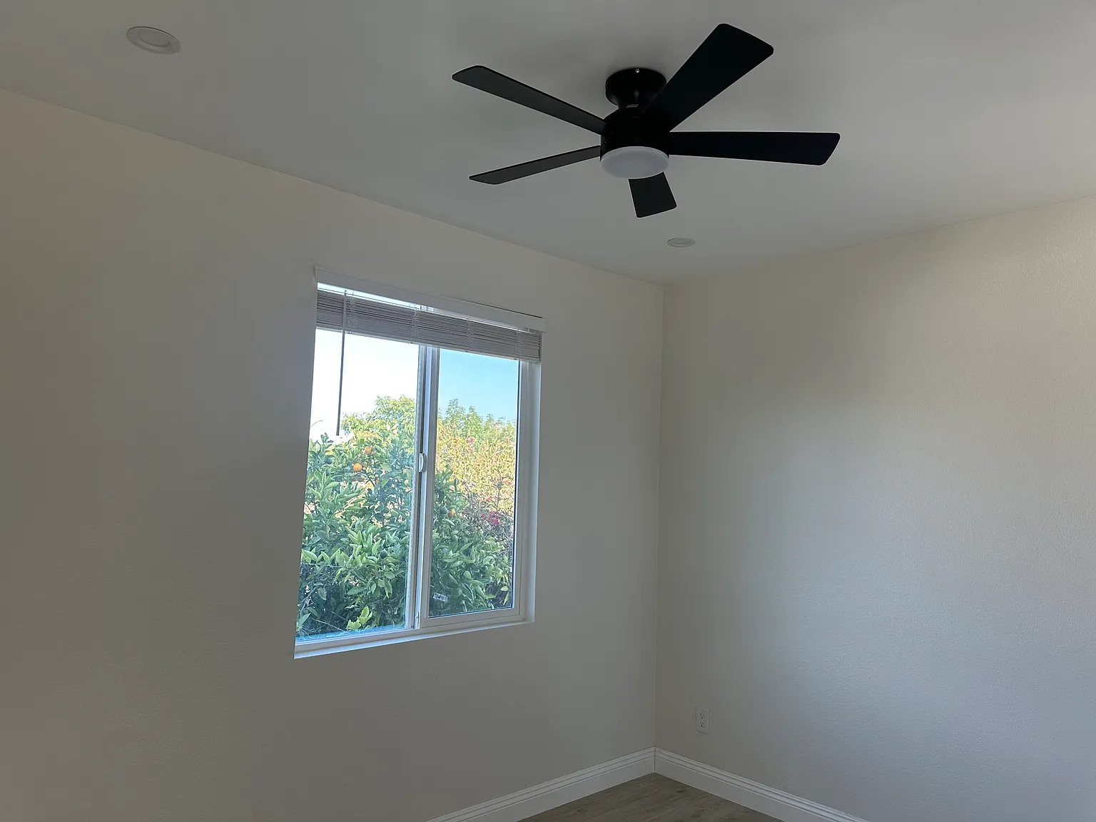 4 bed, 2.5 bath, 1200 sqft, $4,000 — Photo 2