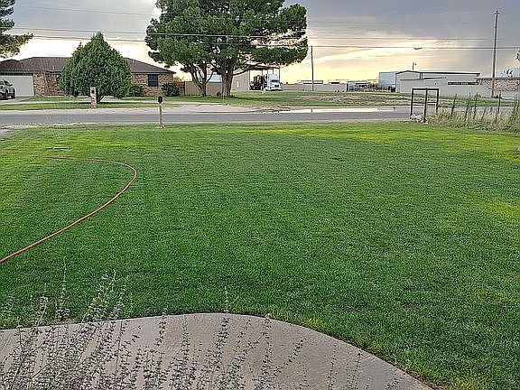 View west from front porch