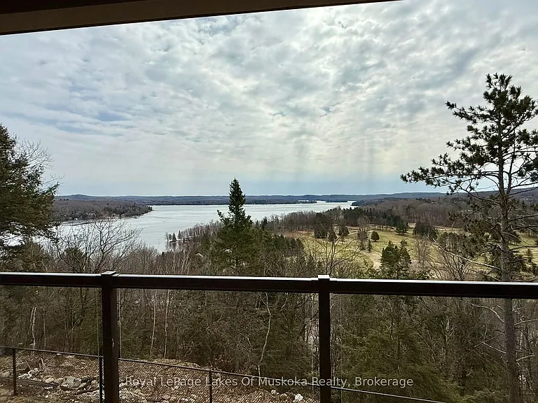 11 Tree Tops Ln #203 — Photo 20