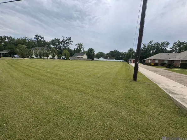 39753 Rou Mar Nei Dr, Ponchatoula, LA 70454