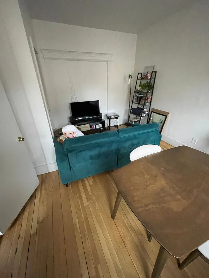 Nicely updated 2 bed split right on the Green Line in Allston. — Photo 2