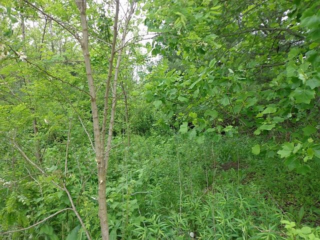 2nd image of 18118 S Parker Rd