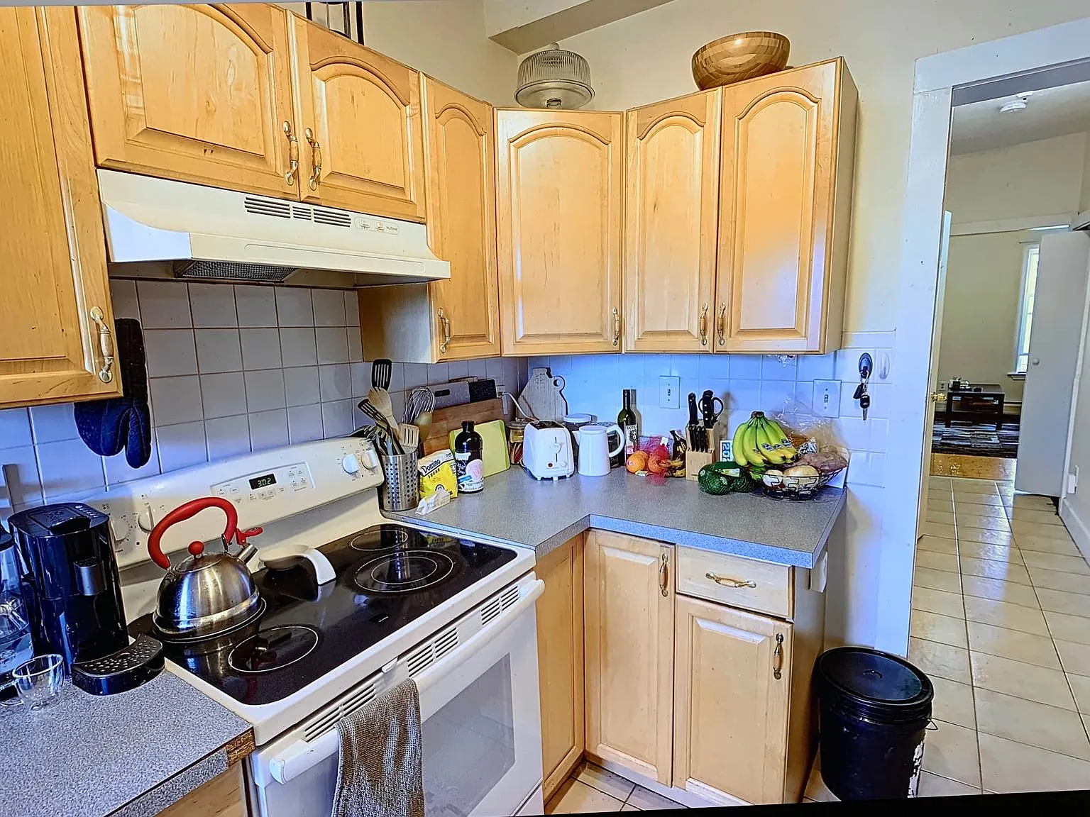 2 bed, 1100 sqft, $3,000 — Photo 2