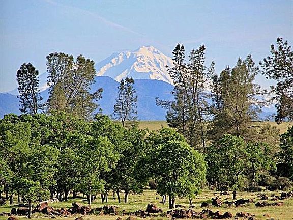 2nd image of 0 Aoudad Dr